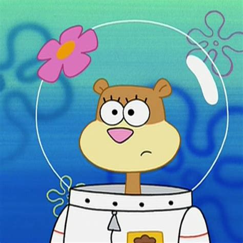 sandy cheeks boobs|Character: sandy cheeks